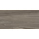 Керамогранит Artkera Group GP36GOA18 Гоа серо-коричневый / Goa Taupe 30×60