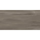 Керамогранит Artkera Group GP36GOA18 Гоа серо-коричневый / Goa Taupe 30×60