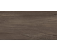 Керамогранит Artkera Group GP36GOA21 Гоа каштановый / Goa Marron 30×60