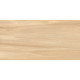 Керамогранит Artkera Group GP36GOA31 Гоа Бронз / Goa Bronze 30×60
