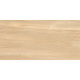 Керамогранит Artkera Group GP36GOA31 Гоа Бронз / Goa Bronze 30×60