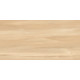 Керамогранит Artkera Group GP36GOA31 Гоа Бронз / Goa Bronze 30×60