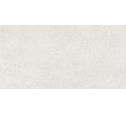 Керамогранит Artkera Group GP60120MIM15M Микроцемент серый / Microcement Gray 60×120