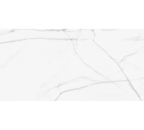 Керамогранит Artkera Group GP60120PUR00M Пьюр Марбл / Pure Marble 60×120