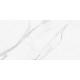 Керамогранит Artkera Group GP60120PUR00M Пьюр Марбл / Pure Marble 60×120