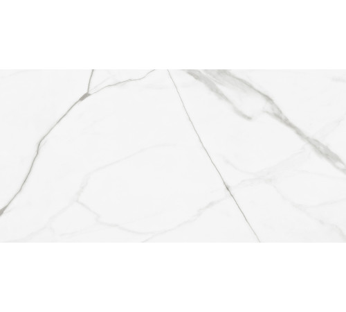 Керамогранит Artkera Group GP60120PUR00M Пьюр Марбл / Pure Marble 60×120