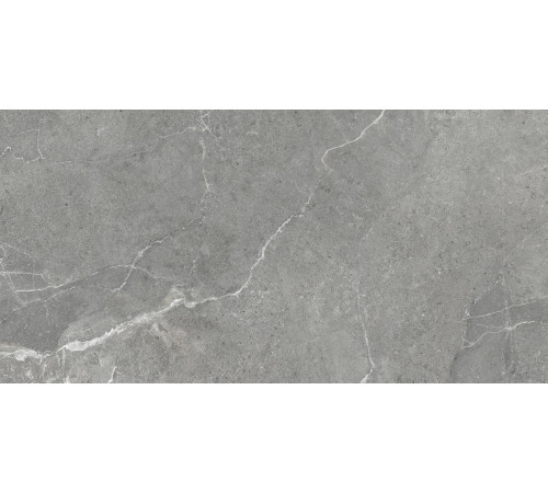 Керамогранит Artkera Group GP60120TIA05M Титаниум серый / Titanium Gris 60×120