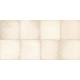Плитка настенная Richard TWU09RCD014 249x500x8.5 Глянцевая