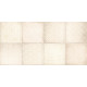 Плитка настенная Richard TWU09RCD014 249x500x8.5 Глянцевая