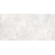 Плитка настенная Rivoli TWU09RVL004 249x500x7.5 Глянцевая