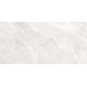 Плитка настенная Rivoli TWU09RVL004 249x500x7.5 Глянцевая