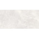 Плитка настенная Rivoli TWU09RVL004 249x500x7.5 Глянцевая