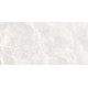 Плитка настенная Rivoli TWU09RVL004 249x500x7.5 Глянцевая