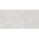 Плитка настенная Rivoli TWU09RVL007 249x500x7.5 Глянцевая