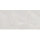 Плитка настенная Rivoli TWU09RVL007 249x500x7.5 Глянцевая