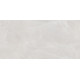 Плитка настенная Rivoli TWU09RVL007 249x500x7.5 Глянцевая
