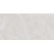 Плитка настенная Rivoli TWU09RVL007 249x500x7.5 Глянцевая