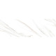 Плитка настенная Canyon Carrara WT15CAC00R 246x740x9 Глянцевая