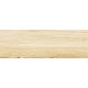 Плитка настенная Canyon Wood WT15CAC08R 246x740x9 Глянцевая