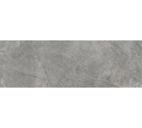 Плитка настенная Leon Gray WT15LEN15R 246x740x9.5 Матовая