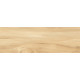 Плитка настенная Woodstyle Elm WT93WOS11 300x900x10.5 Матовая