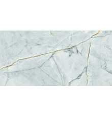 Плитка настенная AltaCera WT9ALN23 Альбион Пульпис темный / Albion Pulpis Dark 24.9×50
