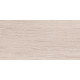 Плитка настенная Artdeco Wood WT9ARE08 250x500x9 Глянцевая