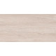 Плитка настенная Artdeco Wood WT9ARE08 250x500x9 Глянцевая
