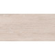 Плитка настенная Artdeco Wood WT9ARE08 250x500x9 Глянцевая