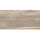 Плитка настенная Detroit Wood WT9DET08 249x500x8.5 Глянцевая