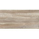 Плитка настенная Detroit Wood WT9DET08 249x500x8.5 Глянцевая