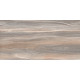 Плитка настенная Esprit Wood WT9ESR21 250x500x9 Глянцевая
