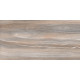 Плитка настенная Esprit Wood WT9ESR21 250x500x9 Глянцевая