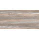 Плитка настенная Esprit Wood WT9ESR21 250x500x9 Глянцевая