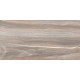 Плитка настенная Esprit Wood WT9ESR21 250x500x9 Глянцевая