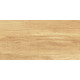 Плитка настенная Paradise Wood WT9OAS31 250x500x9 Глянцевая