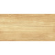 Плитка настенная Paradise Wood WT9OAS31 250x500x9 Глянцевая