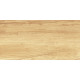 Плитка настенная Paradise Wood WT9OAS31 250x500x9 Глянцевая