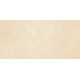 Плитка настенная Petra Beige WT9PET11 249x500x8.5 Матовая
