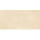 Плитка настенная Petra Beige WT9PET11 249x500x8.5 Матовая