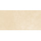 Плитка настенная Petra Beige WT9PET11 249x500x8.5 Матовая