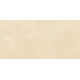 Плитка настенная Petra Beige WT9PET11 249x500x8.5 Матовая