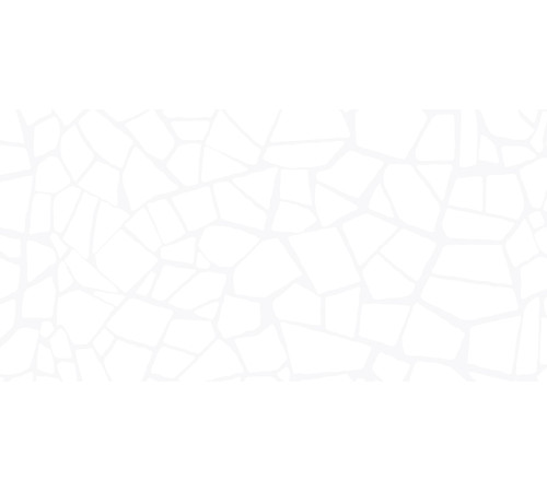 Плитка настенная Smalta White WT9SML00 249x500x7.5 Глянцевая