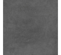 Керамогранит Про Фьюче DD640620R Антрацит матовый