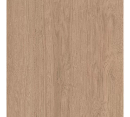 Керамогранит Альберони SG643620R Бежевый матовый