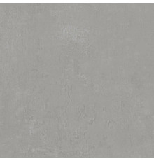 Керамогранит Про Фьюче DD640220R Серый матовый