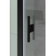 Душевой уголок Allen Brau Priority 100x90 3.31030.BBA + 3.31045.BBA черный браш