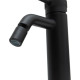 Смеситель для биде Allen Brau Priority 5.31A04-31 (с донным клапаном) черный матовый