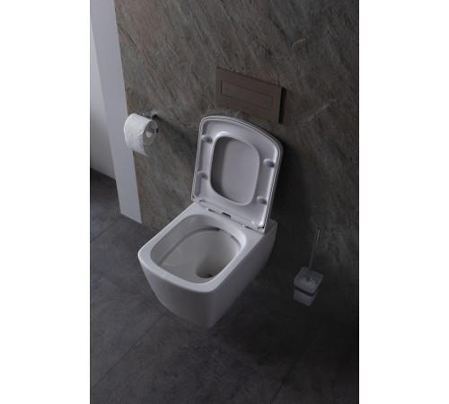 Чаша подвесного унитаза Allen Brau Liberty 4.33004.20 белый глянец