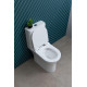 Чаша напольного унитаза Aquanet Rimless Roll 2-C CL-12289